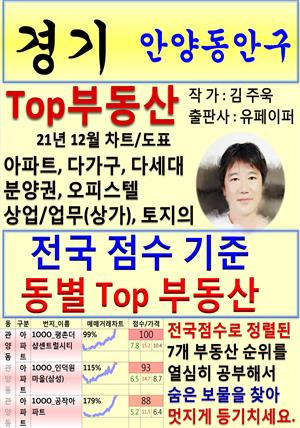 경기 안양동안구 Top 부동산 (21년 12월, 차트/도표책)