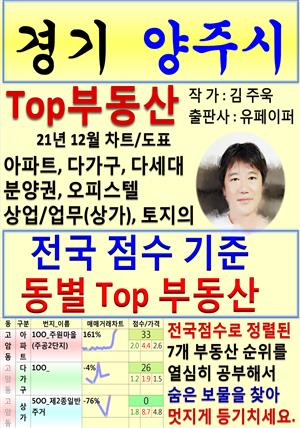 경기 양주시 Top 부동산 (21년 12월, 차트/도표책)