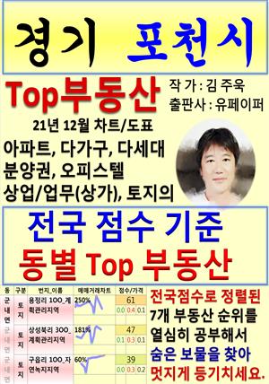 경기 포천시 Top 부동산 (21년 12월, 차트/도표책)