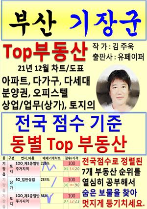 부산 기장군 Top 부동산 (21년 12월, 차트/도표책)