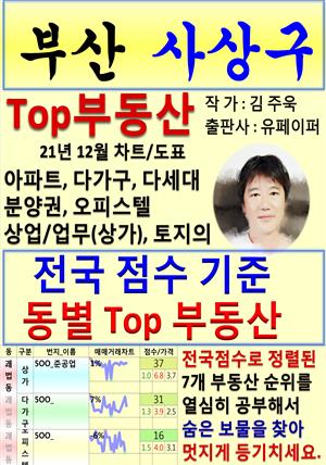 부산 사상구 Top 부동산 (21년 12월, 차트/도표책)