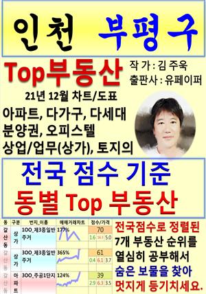 인천 부평구 Top 부동산 (21년 12월, 차트/도표책)