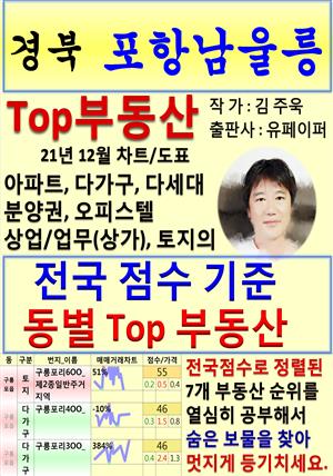 경북 포항남울릉 Top 부동산 (21년 12월, 차트/도표책)