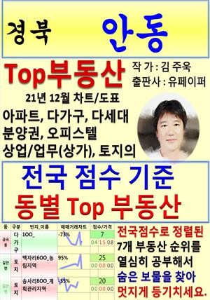 경북 안동 Top 부동산 (21년 12월, 차트/도표책)