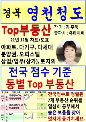 경북 영천청도 Top 부동산 (21년 12월, 차트/도표책)