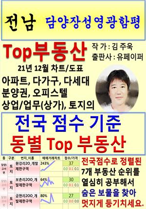 전남 담양장성영광함평 Top 부동산 (21년 12월, 차트/도표책)