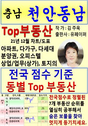 충남 천안동남 Top 부동산 (21년 12월, 차트/도표책)