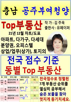 충남 공주부여청양 Top 부동산 (21년 12월, 차트/도표책)