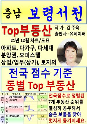 충남 보령서천 Top 부동산 (21년 12월, 차트/도표책)