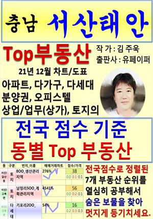 충남 서산태안 Top 부동산 (21년 12월, 차트/도표책)