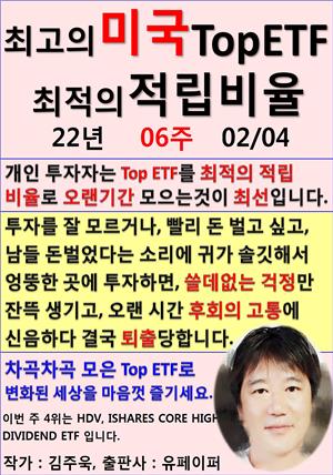 최고의 미국 Top ETF, 최적의 적립비율,22년_06주_02/04