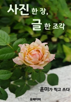 사진 한 장, 글 한 조각