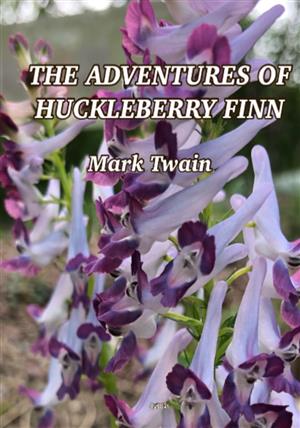 THE ADVENTURES OF HUCKLEBERRY FINN