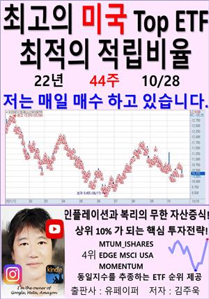 최고의 미국 Top ETF, 최적의 적립비율,22년_44주_10/28