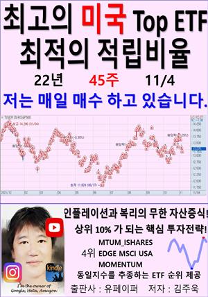 최고의 미국 Top ETF, 최적의 적립비율,22년_45주_11/04