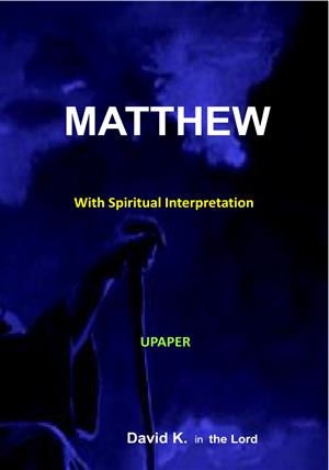 Matthew Interpretation Book