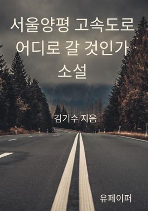 서울양평 고속도로 어디로 갈것인가, 소설