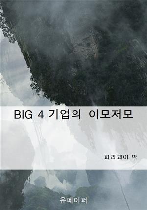 BIG 4 기업의 이모저모