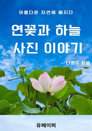 연꽃과 하늘 사진 이야기