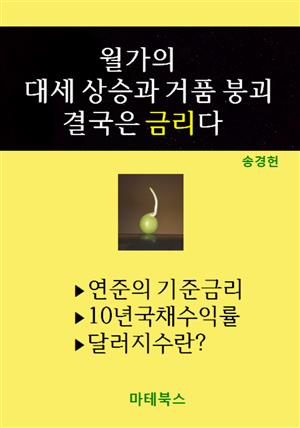 월가의 대세 상승과 거품 붕괴 결국은 금리다