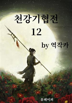 천강기협전(天罡奇俠傳) 제12권