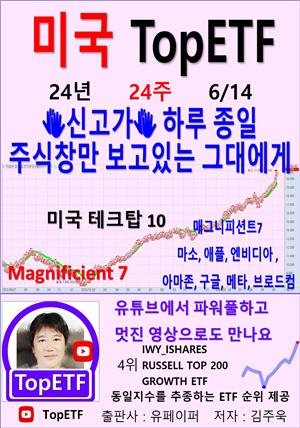 미국 TopETF, 24년_24주_06/14