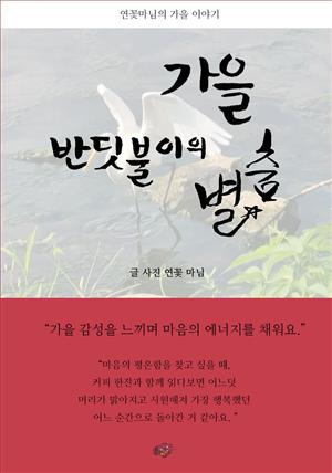 가을 반딧불이의 별춤